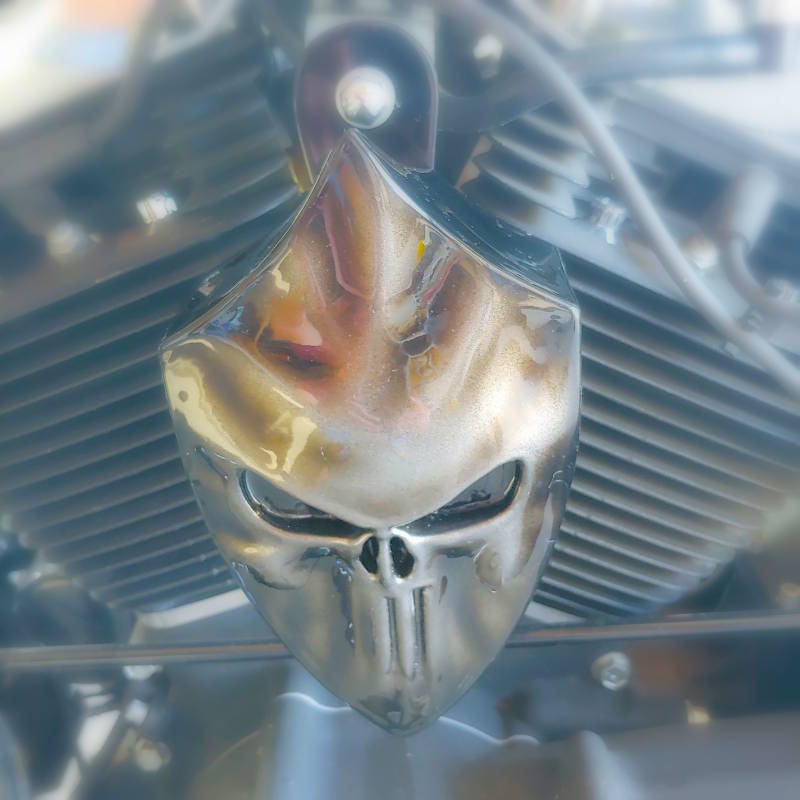 Screaming Banshee PUNISHER Horn Cover - Screaming Banshee Horns